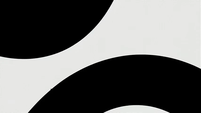 Visual detail logo animation template