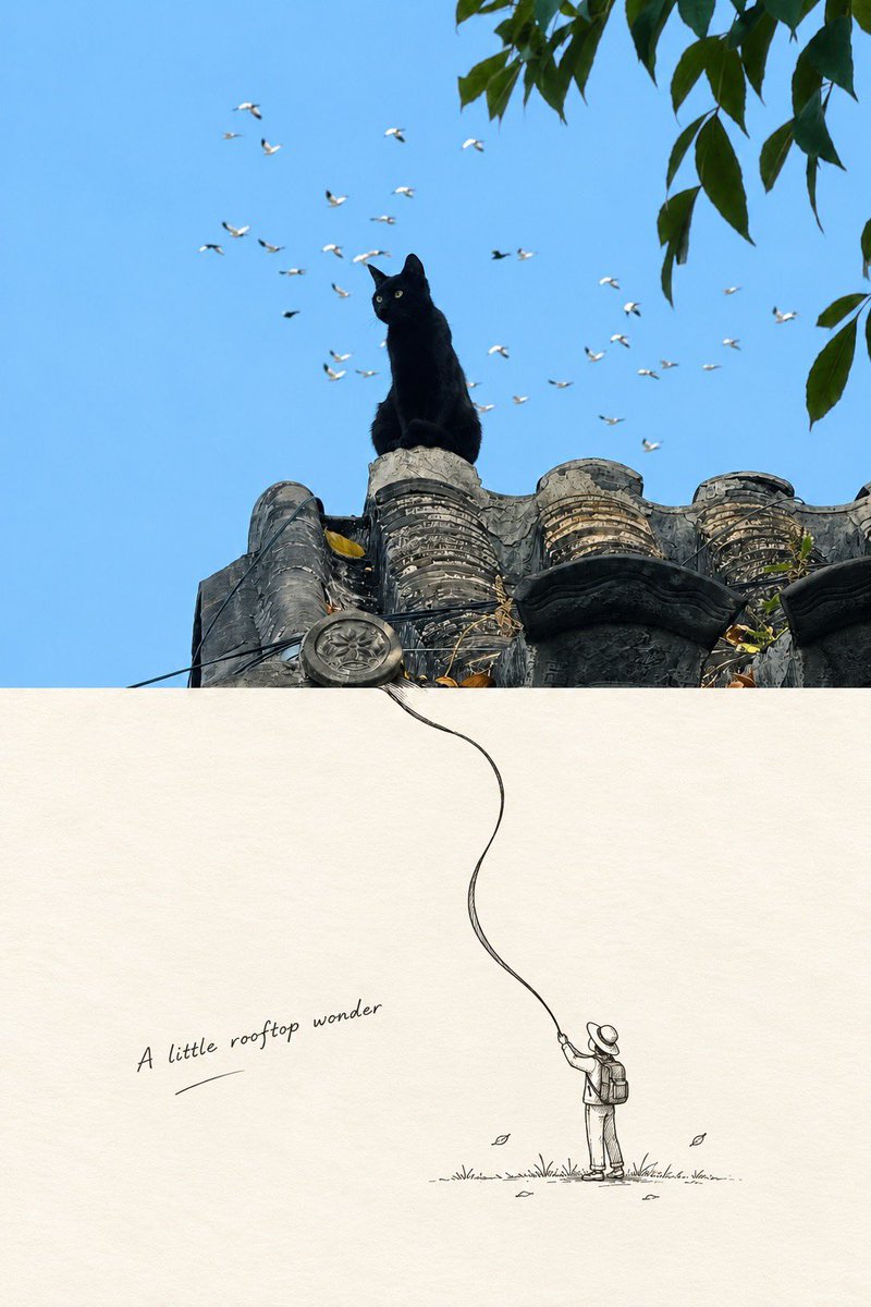 Minimalist Editorial Art Poster: Photo and Ink Illustration Split
